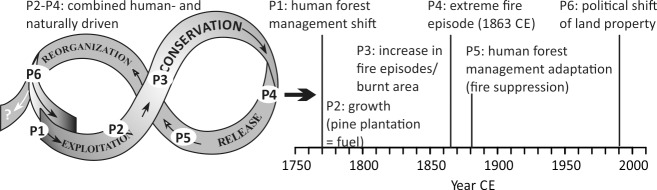 Fig 5