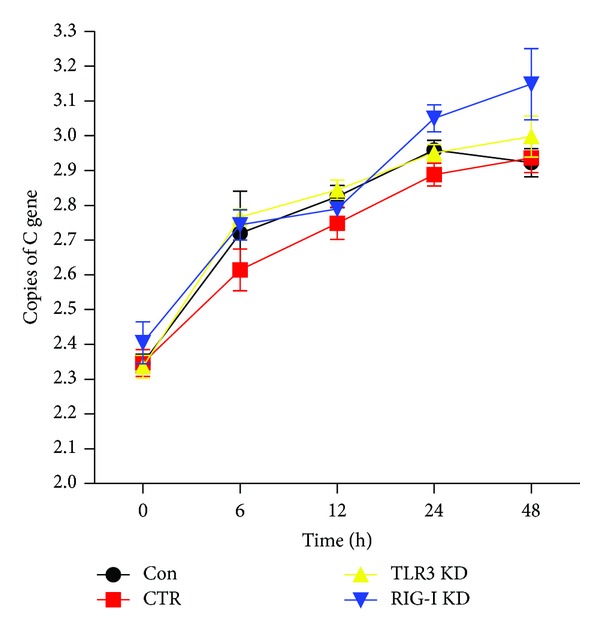 Figure 10