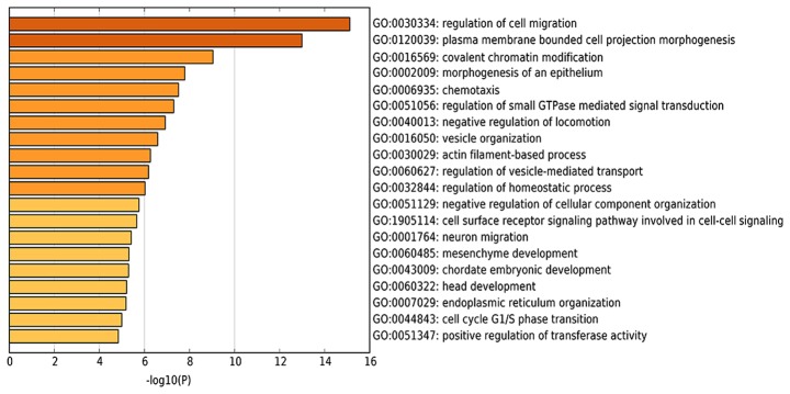 Figure 5.