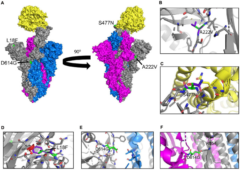 FIGURE 3