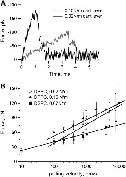 FIGURE 4