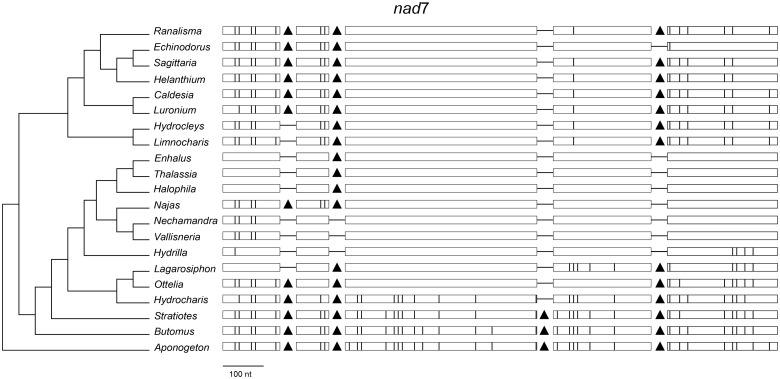 Fig. 3.—