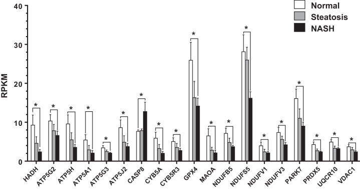 Fig. 9.