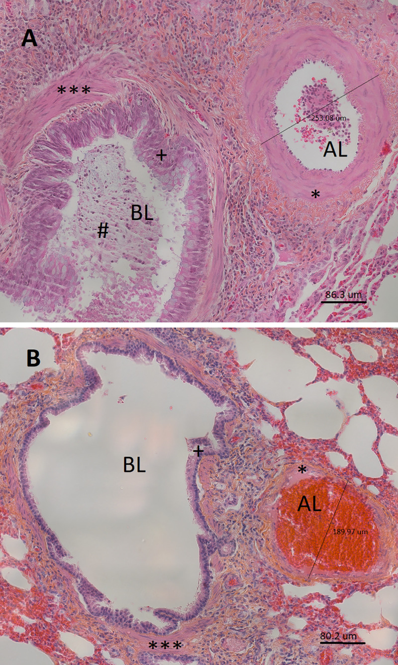 Fig 5