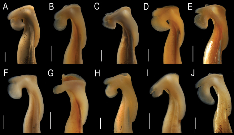 Figure 8.