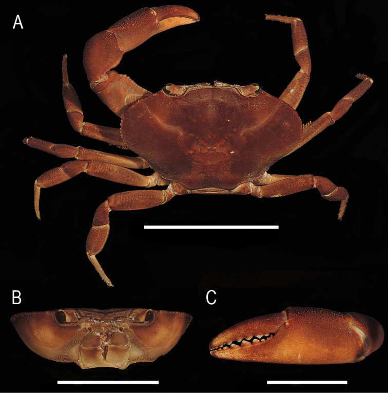 Figure 6.