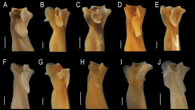 Figure 9.