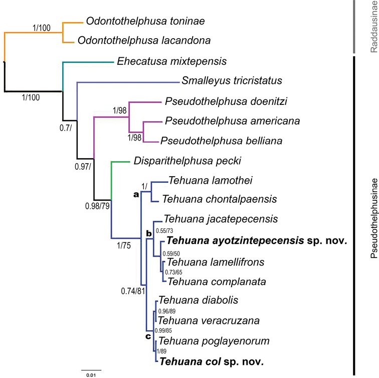 Figure 3.