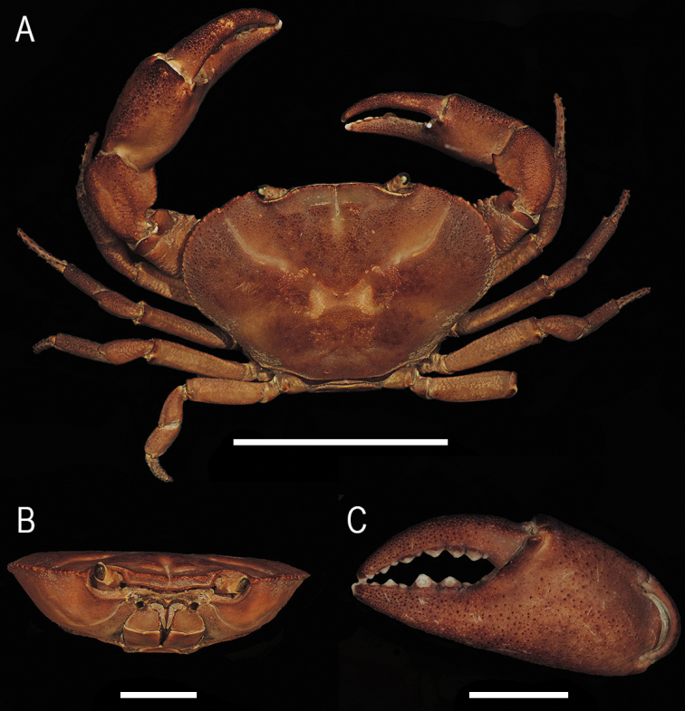 Figure 4.