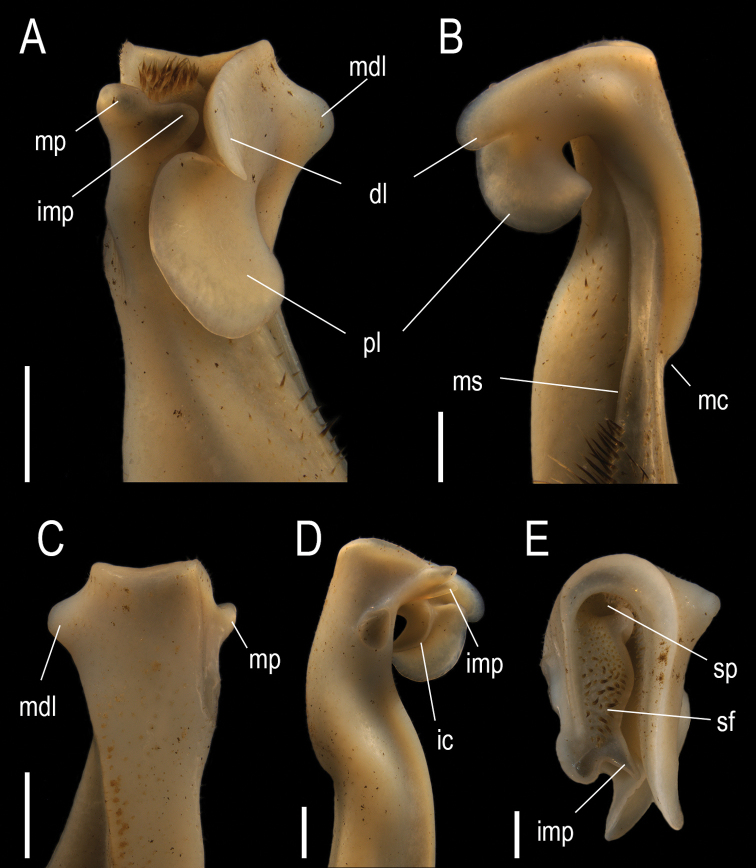 Figure 5.
