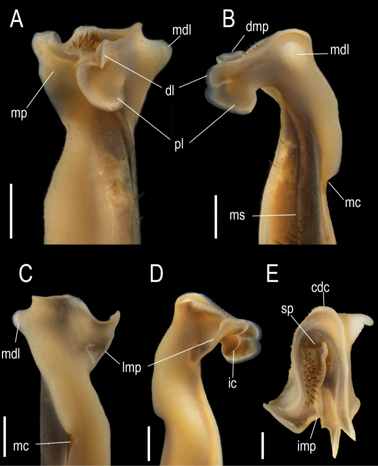 Figure 7.