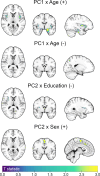 Fig. 5.