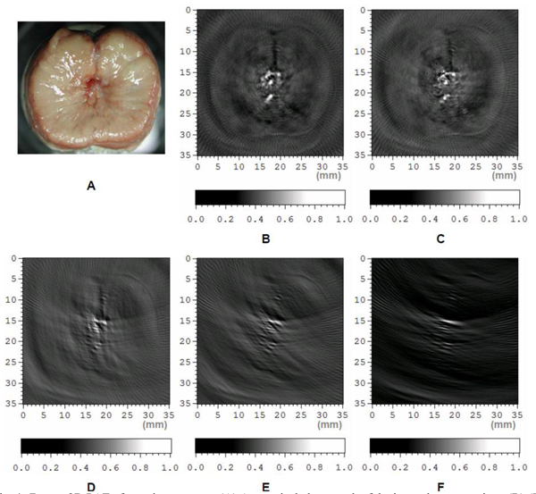 Fig. 4