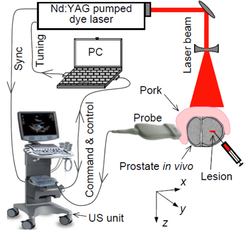 Fig. 1