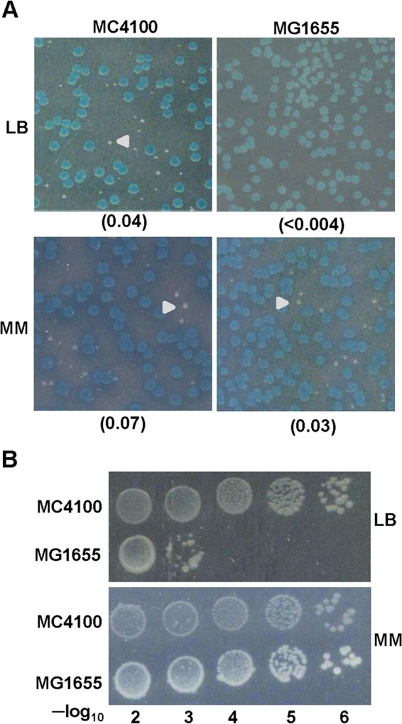 FIG 1