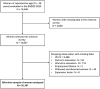 Flowchart shows selection process from 18,486 women evaluated in 2023 to effective 10,161 sampled women analyzed in studies.