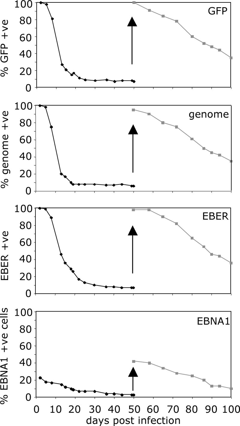 FIG. 6.