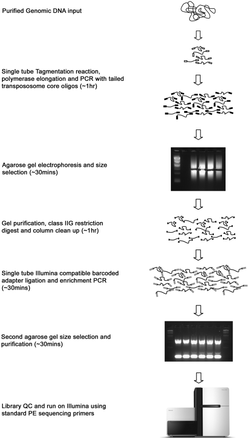 Figure 1.