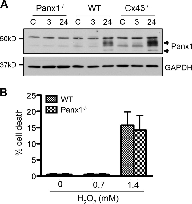 FIGURE 6.