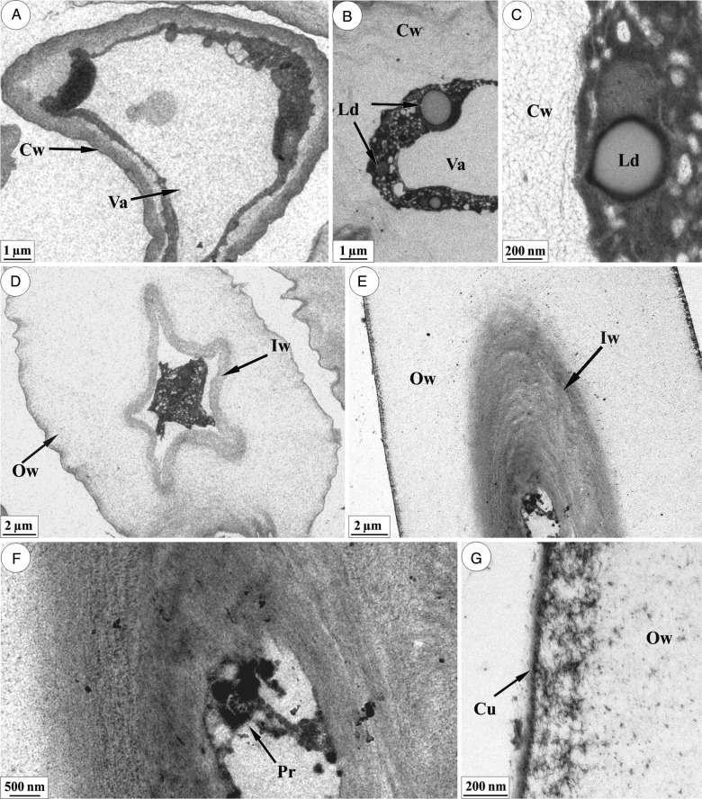 Figure 3.