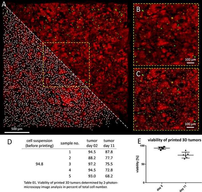 Figure 2