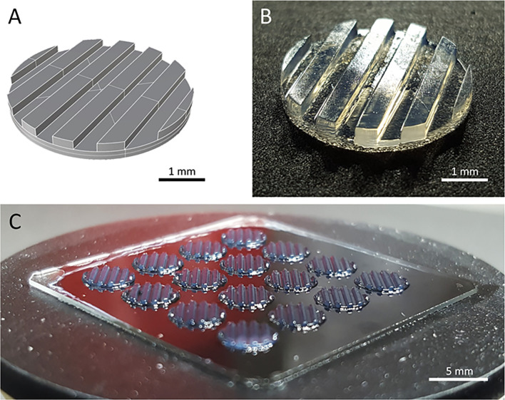 Figure 1