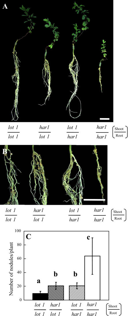 Figure 6.