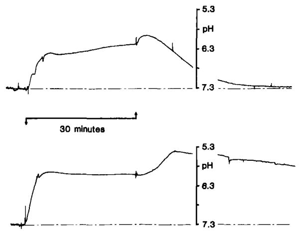 Fig. 8