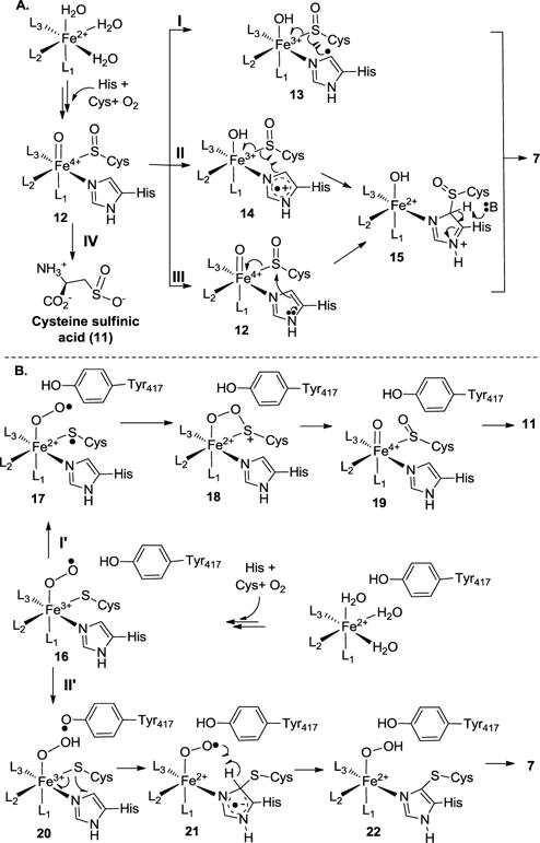 Scheme 2