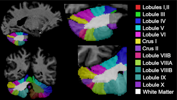 Figure 1: