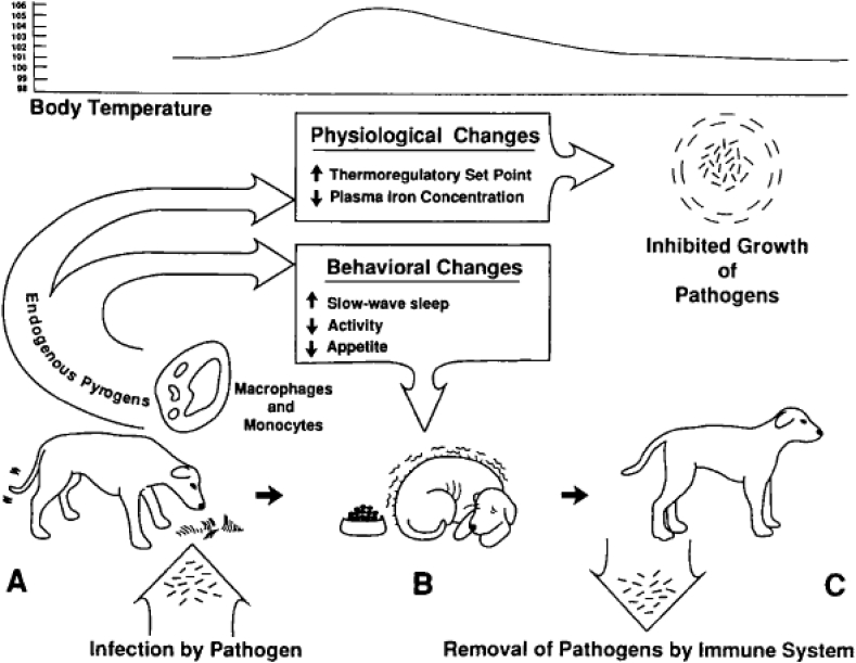 Fig. 1