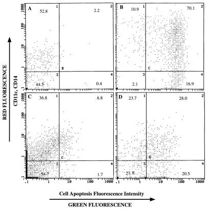 FIG. 7