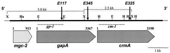 FIG. 2.