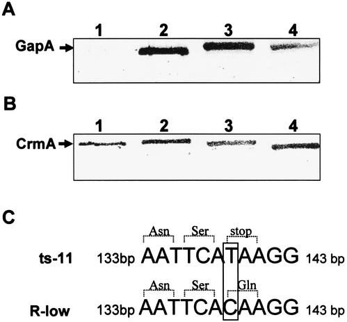 FIG. 5.