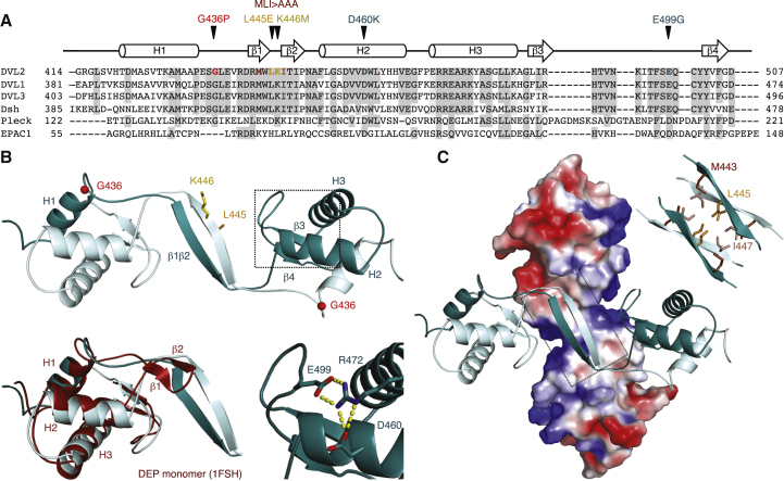 Figure 2