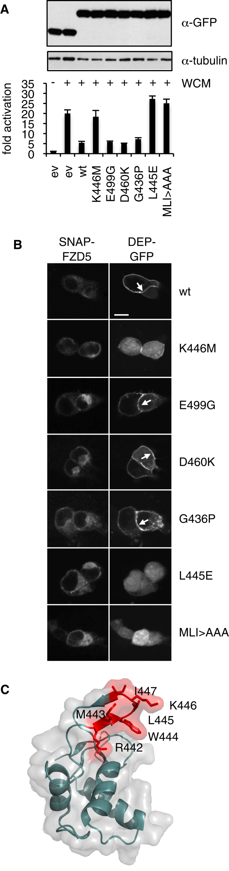 Figure 6