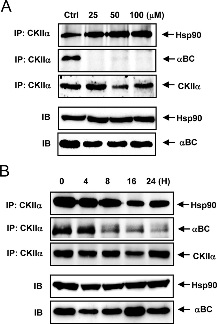 Fig 5