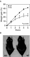 FIG. 5.