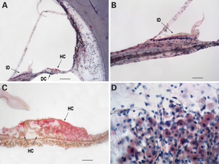 Figure 4.