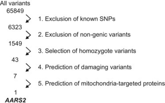 Figure 2