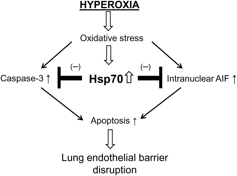 Fig 10