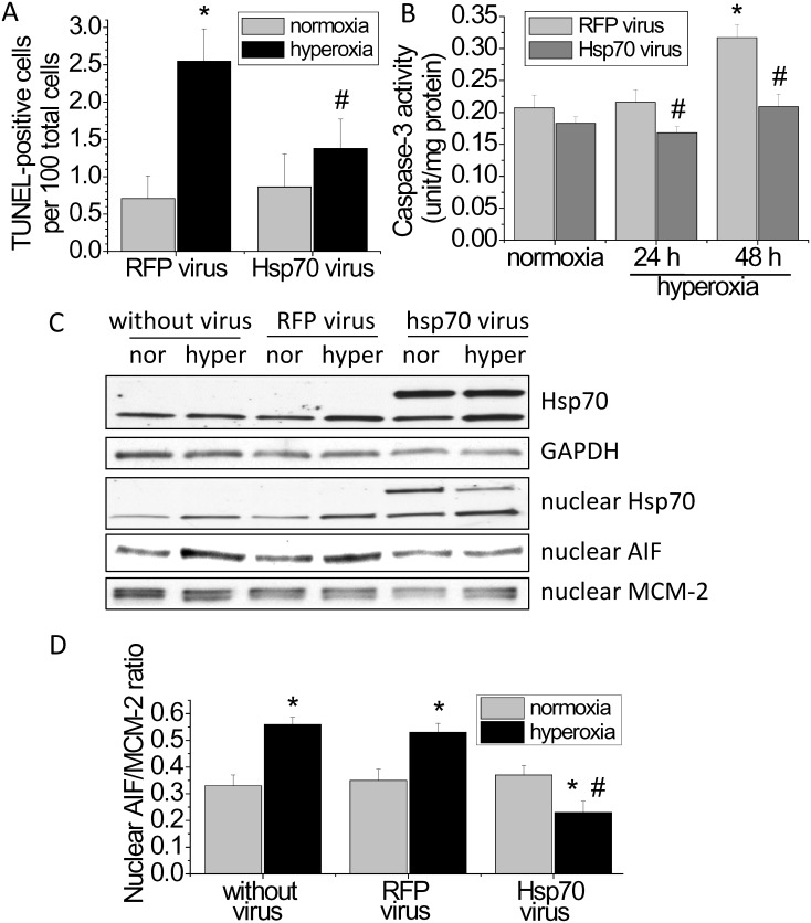 Fig 7