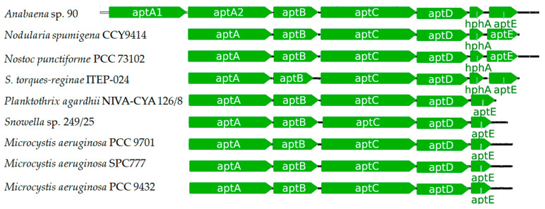 Figure 10