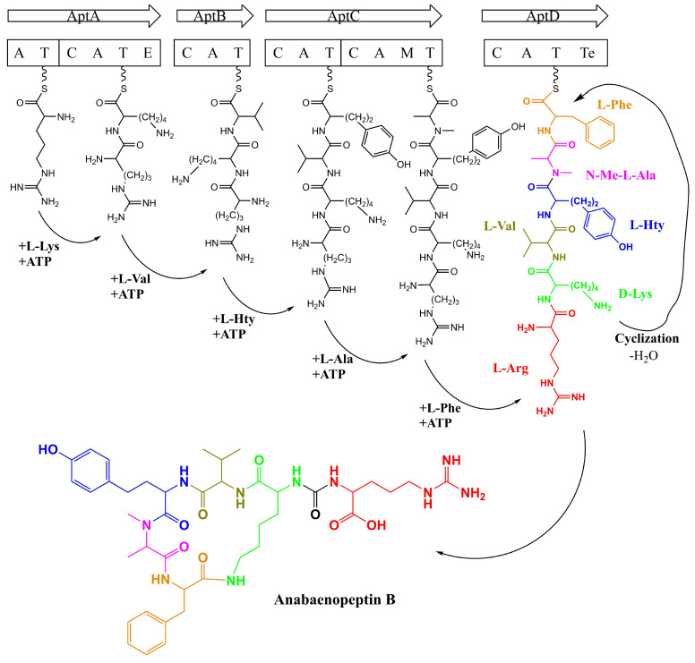 Figure 11