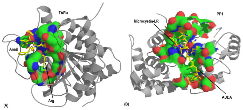 Figure 13