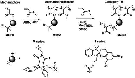 Scheme 2