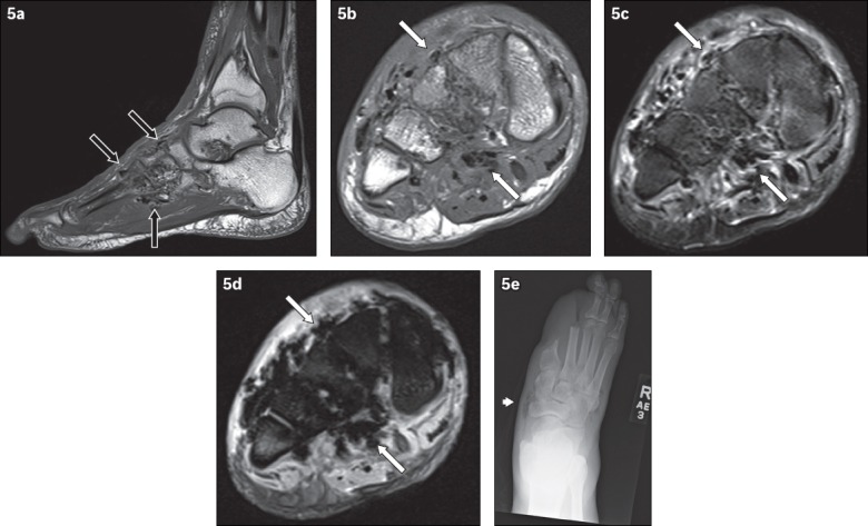 Fig. 5