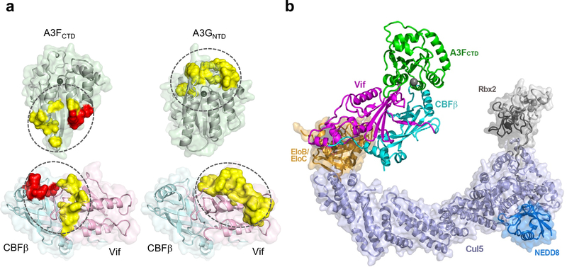 Fig. 4: