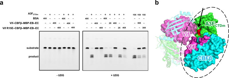 Extended Data Fig. 8