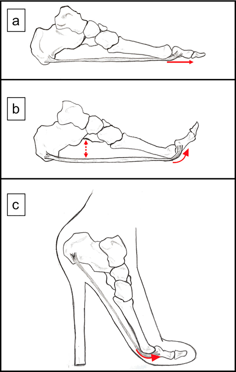 Fig 5